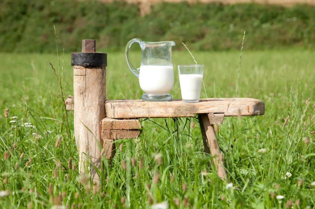 Ein Gefäß, gefüllt mit Milch, steht auf einem Holztisch, der auf einer Wiese platziert ist.