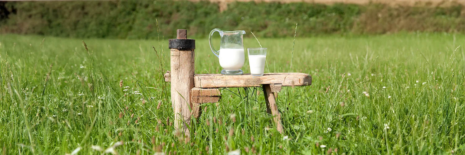 Ein Gefäß, gefüllt mit Milch, steht auf einem Holztisch, der auf einer Wiese platziert ist.