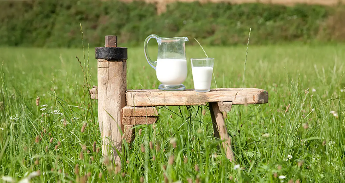 Ein Gefäß, gefüllt mit Milch, steht auf einem Holztisch, der auf einer Wiese platziert ist.