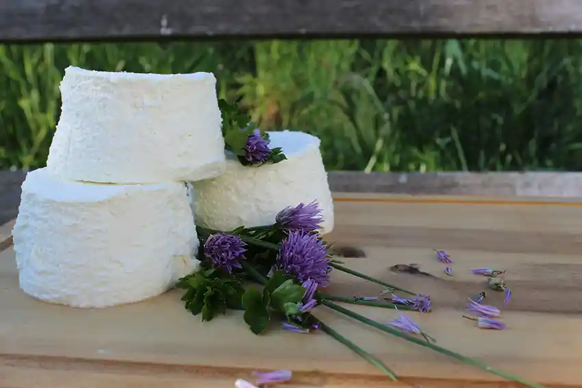 Ziegenhof Leeb selbstgemachte Frischkäselaibchen