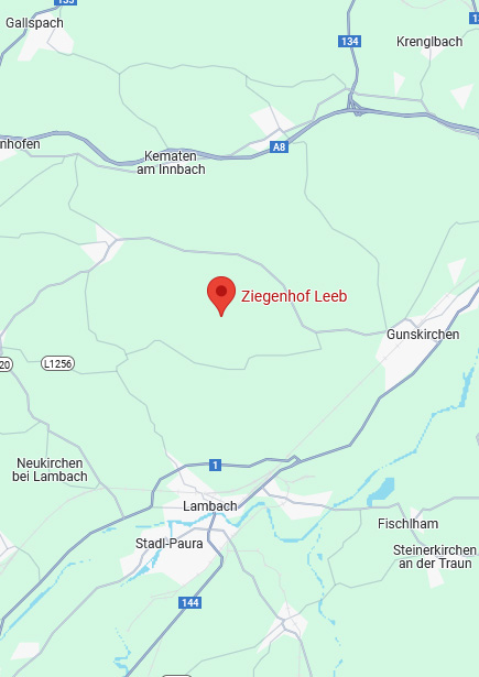 Kartenbild von Pennewang und Umgebung mit Link zu Google Maps: Mitterfils 6, 4624 Pennewang