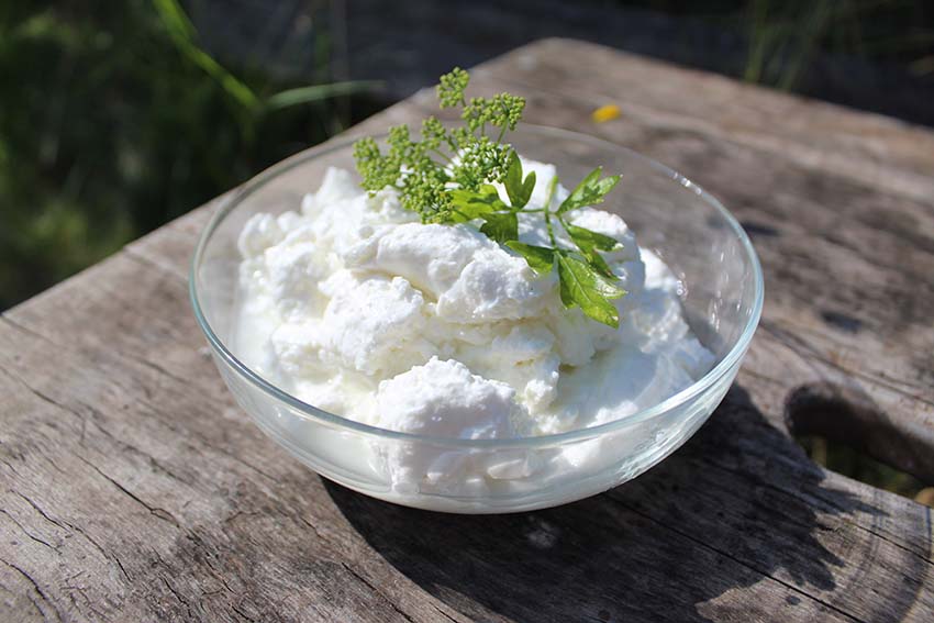 Ziegenfrischkaese in einer Glasschlüssel am Holztisch
